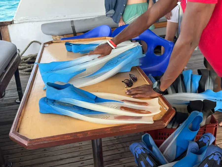 Snorkeling gear