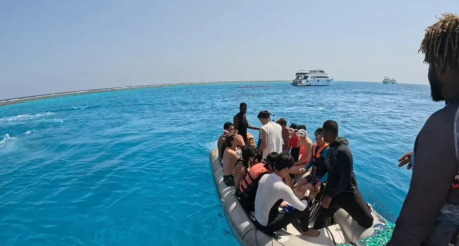 Zodiac boat heading to dolphins
