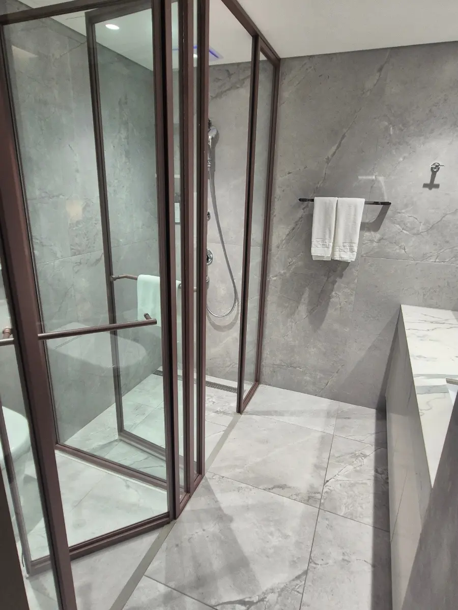 Glass-enclosed shower and toilet