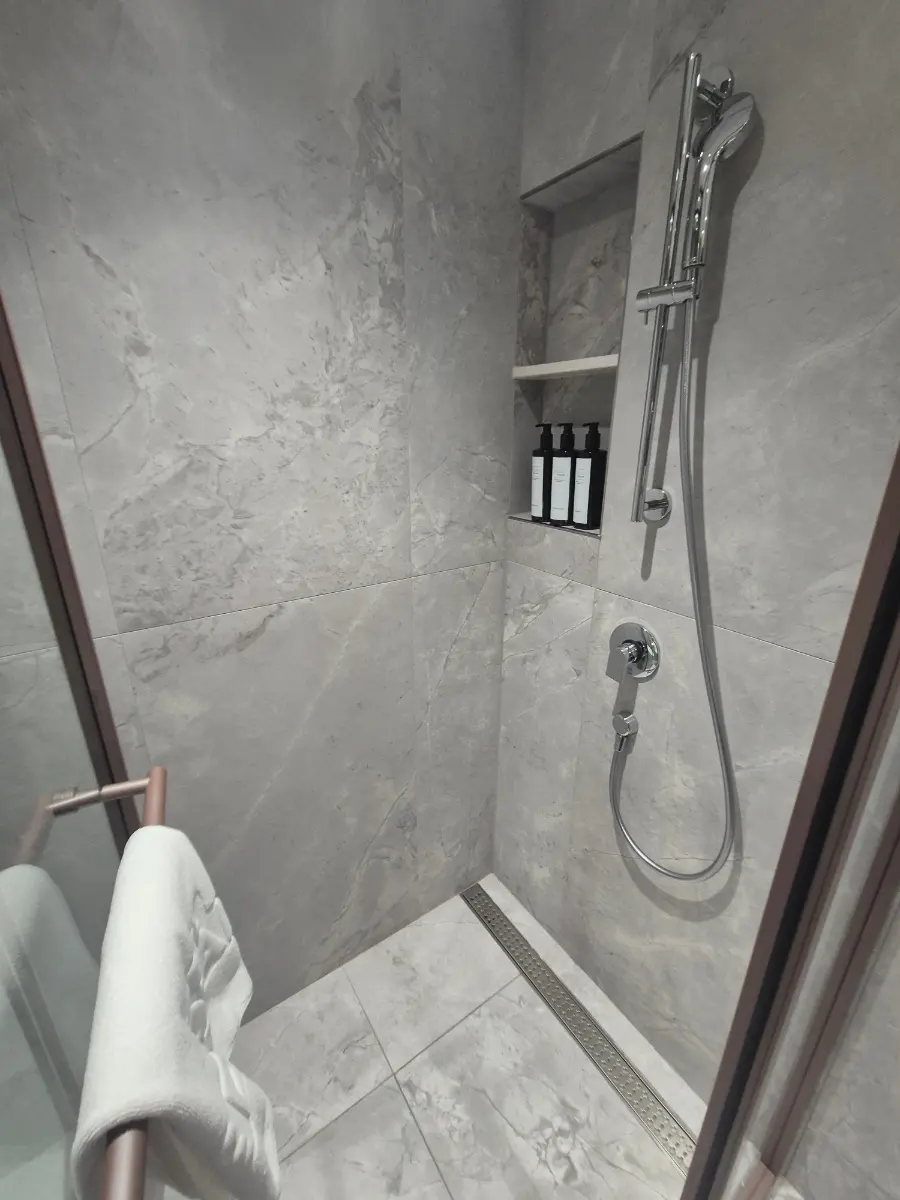 Shower head and controls