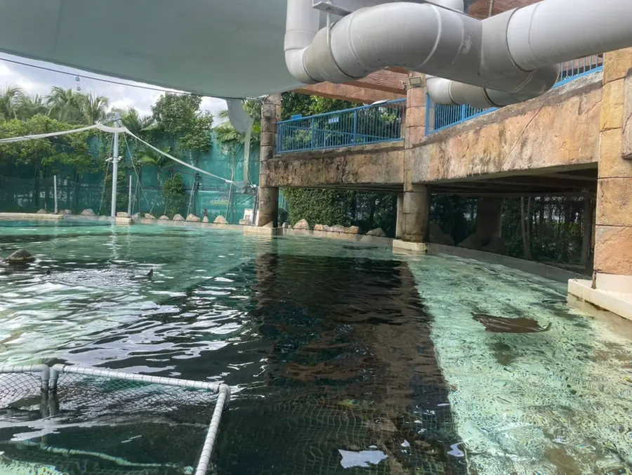 シンガポール・セントーサ島|アドベンチャー・コーブ・ウォーターパーク予約|イルカ・エイ의 餌やり、熱帯魚とのシュノーケリング|体験記・お得な割引方法|