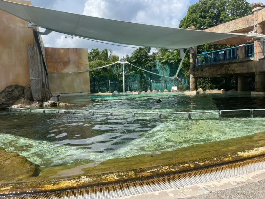 シンガポール・セントーサ島|アドベンチャー・コーブ・ウォーターパーク予約|イルカ・エイの餌やり体験、熱帯魚とのシュノーケリング|体験記・お得な割引方法|