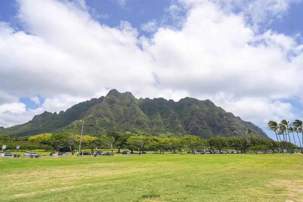 Shuttle Tour North Shore ฮาวาย
