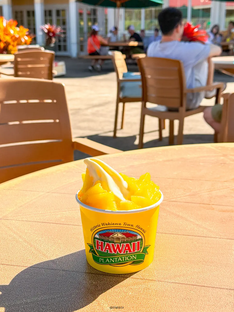 Dole Plantation ฮาวาย