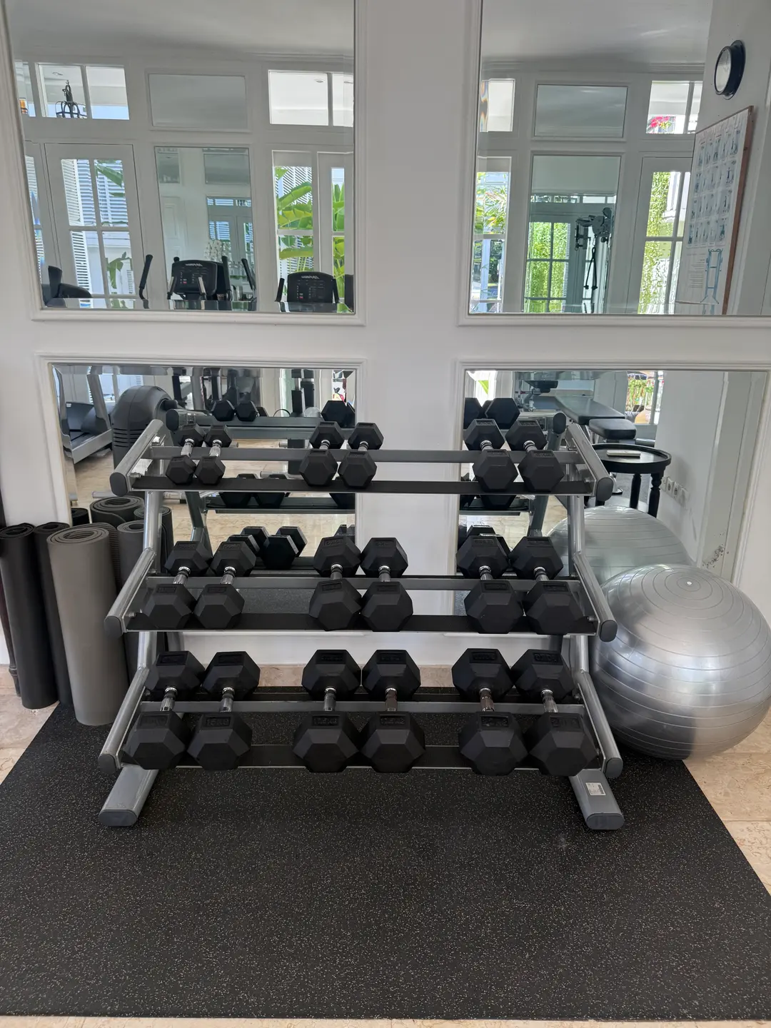 Gym Dumbbells