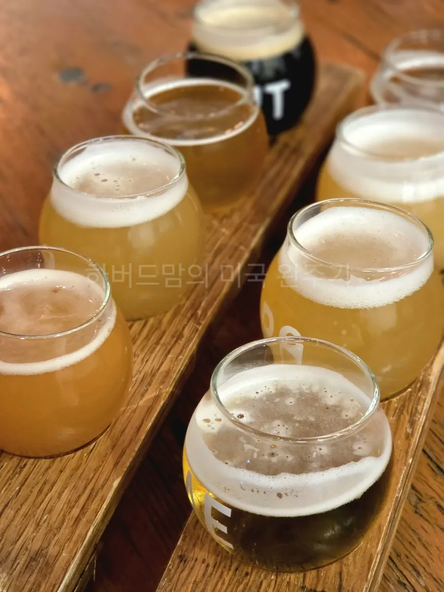 Aeronaut Brewing Company의 수제맥주 플라이트