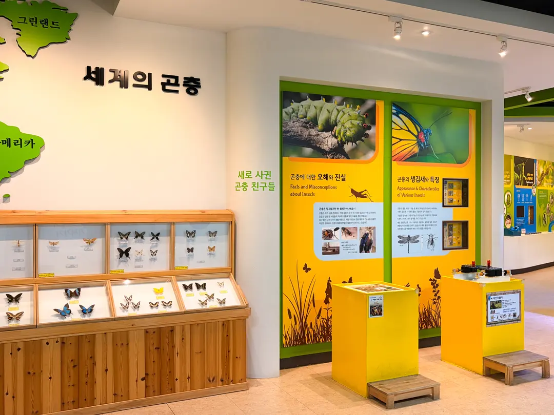 Kids Learning About Insects