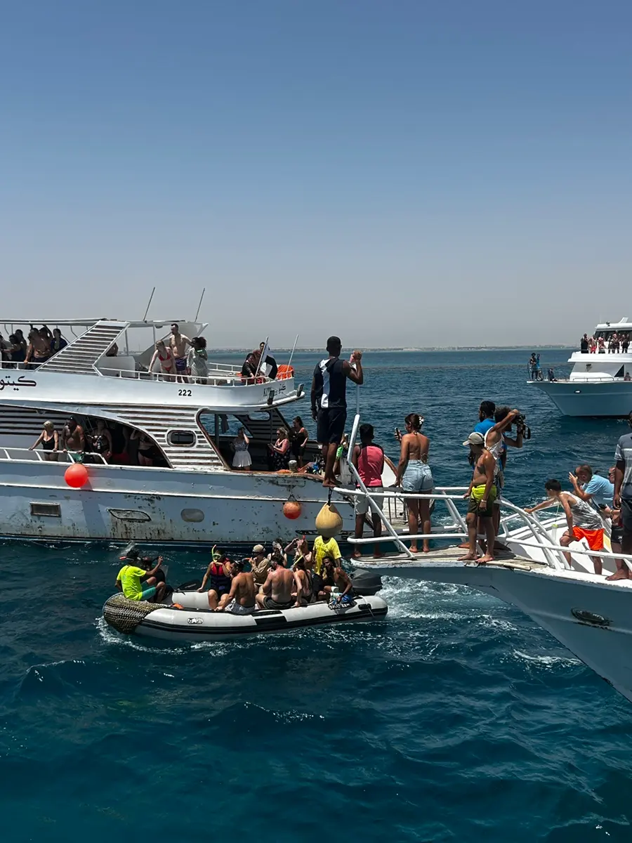 Multiple boats gathered at Dolphin House