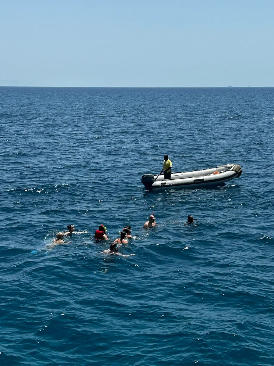 Swimmers in the Red Sea