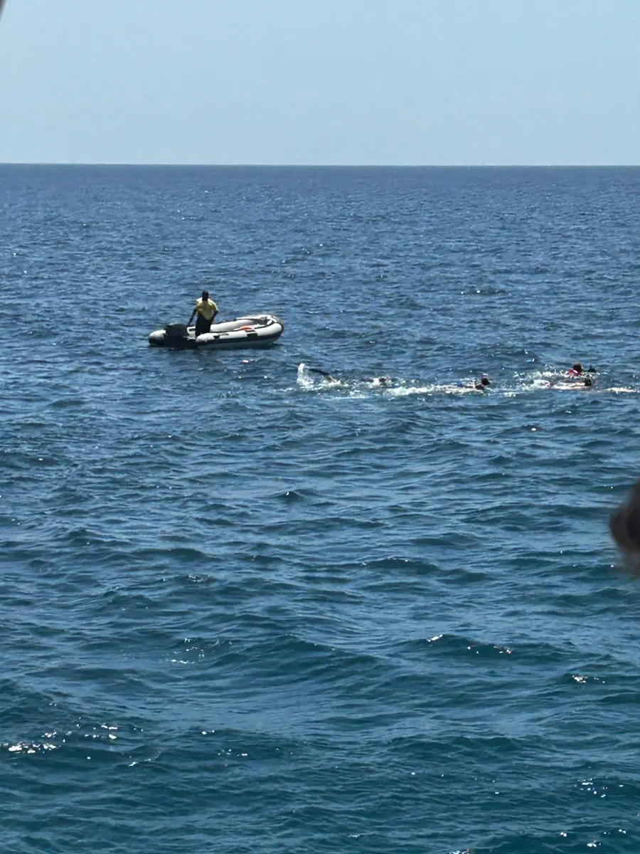 People swimming towards dolphins