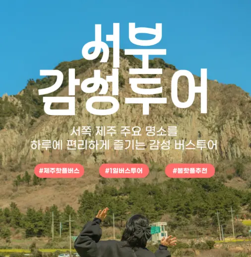 Scenic West Jeju Coastline