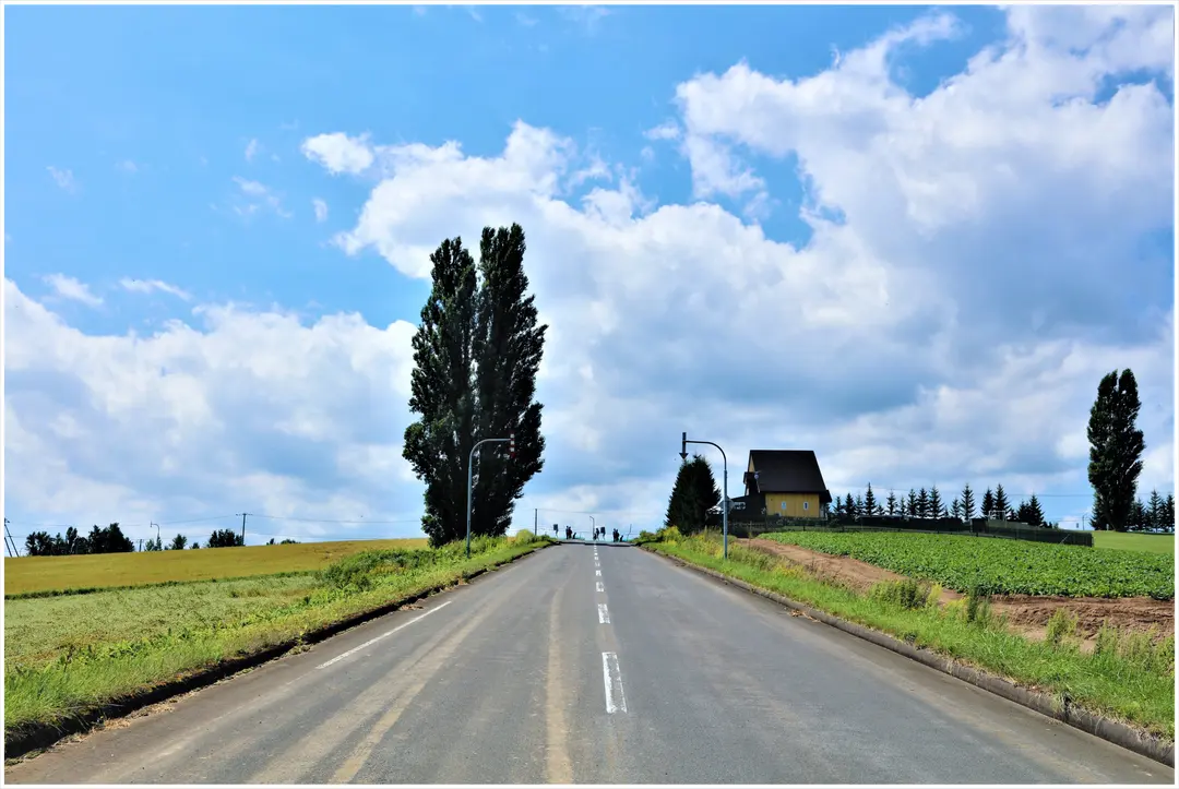 Patchwork Road