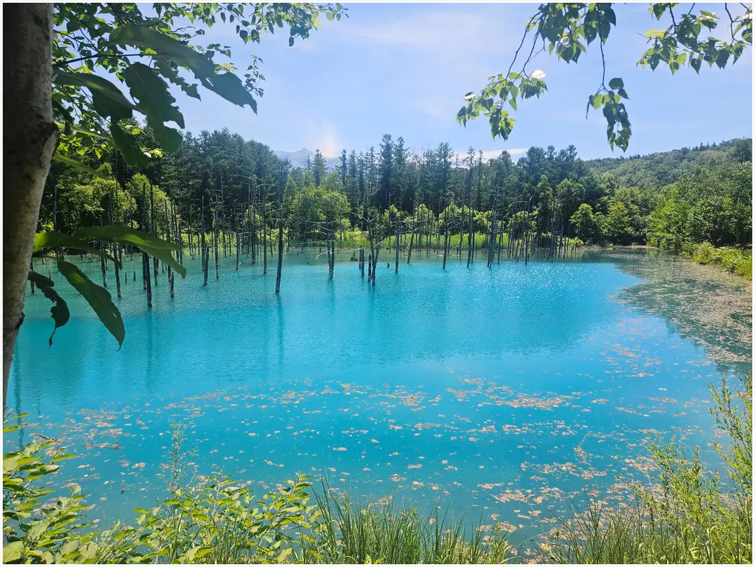 Blue Pond