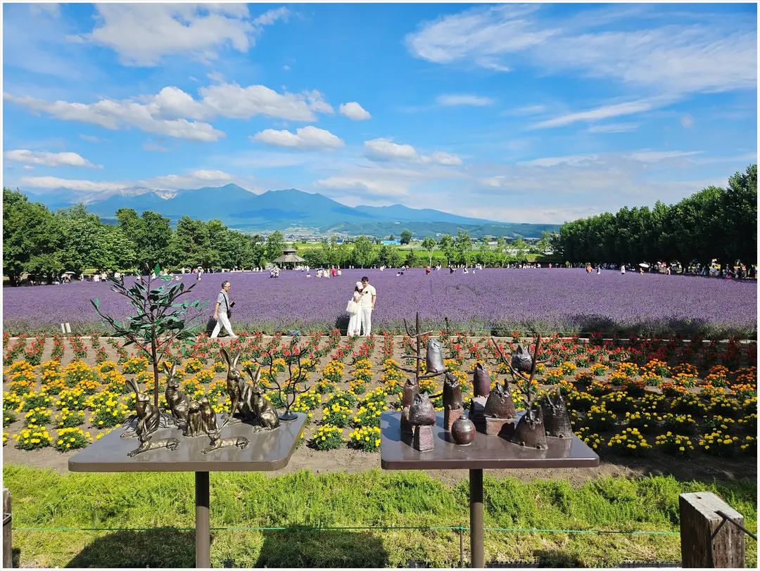 Farm Tomita