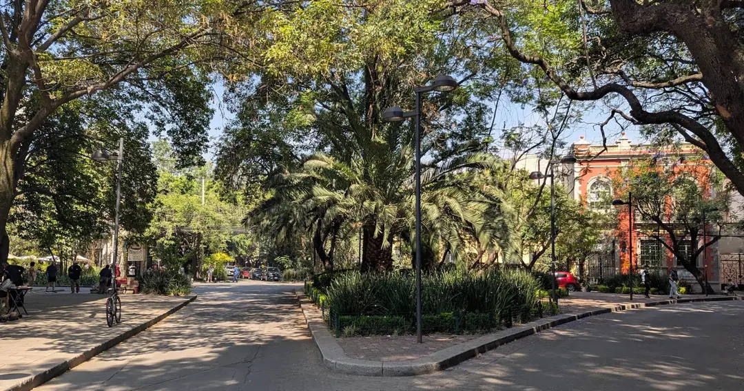 สวนสาธารณะเม็กซิโก / ที่มา: Google Maps Rory Hitchen