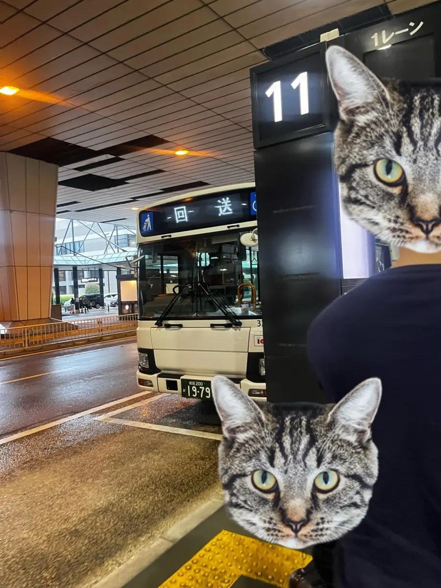 도쿄 6월,7월 날씨 | 항공권, 파라타항공, 생일 | 나리타 공항 택시 요금