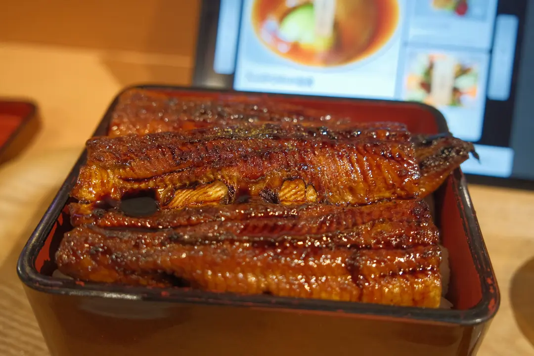 Thick grilled eel close-up