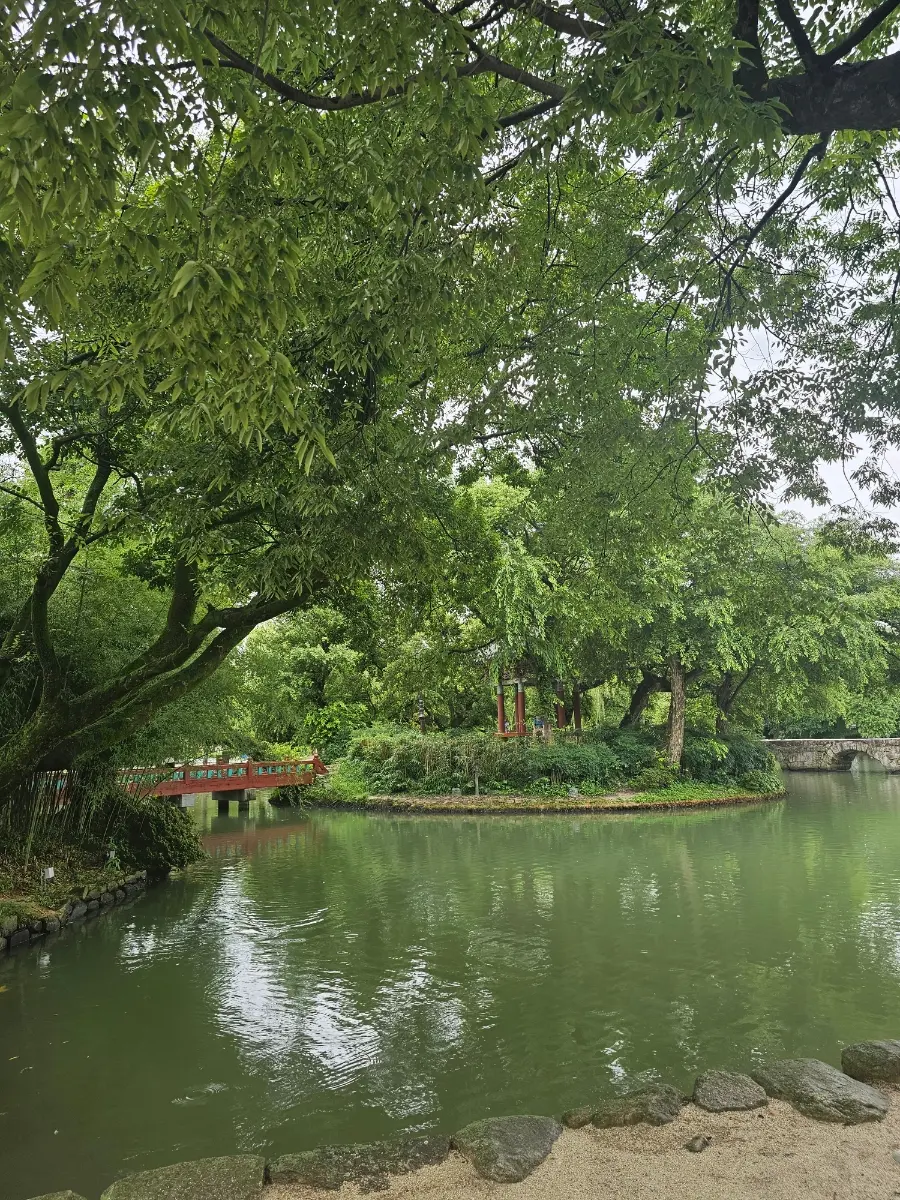 雨に濡れる広寒楼苑の池