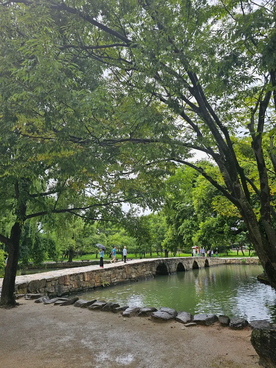 広寒楼苑の池に集まる鯉