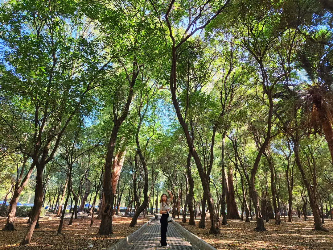 POLANCO 지역 근처에 있는 차풀테펙 공원. 규모가 엄청나다