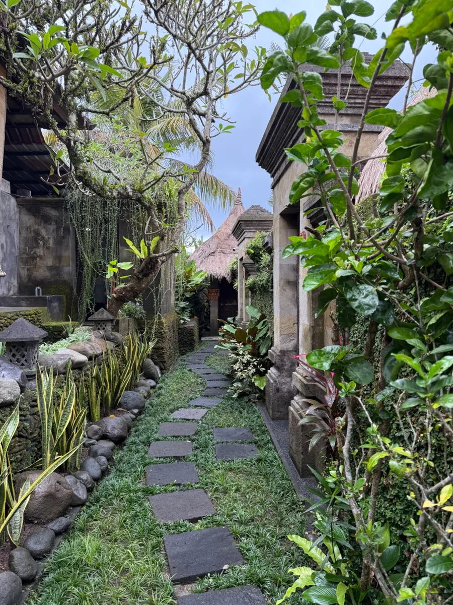 屋外施術室