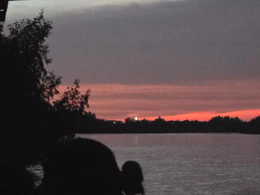 Watching Fireflies