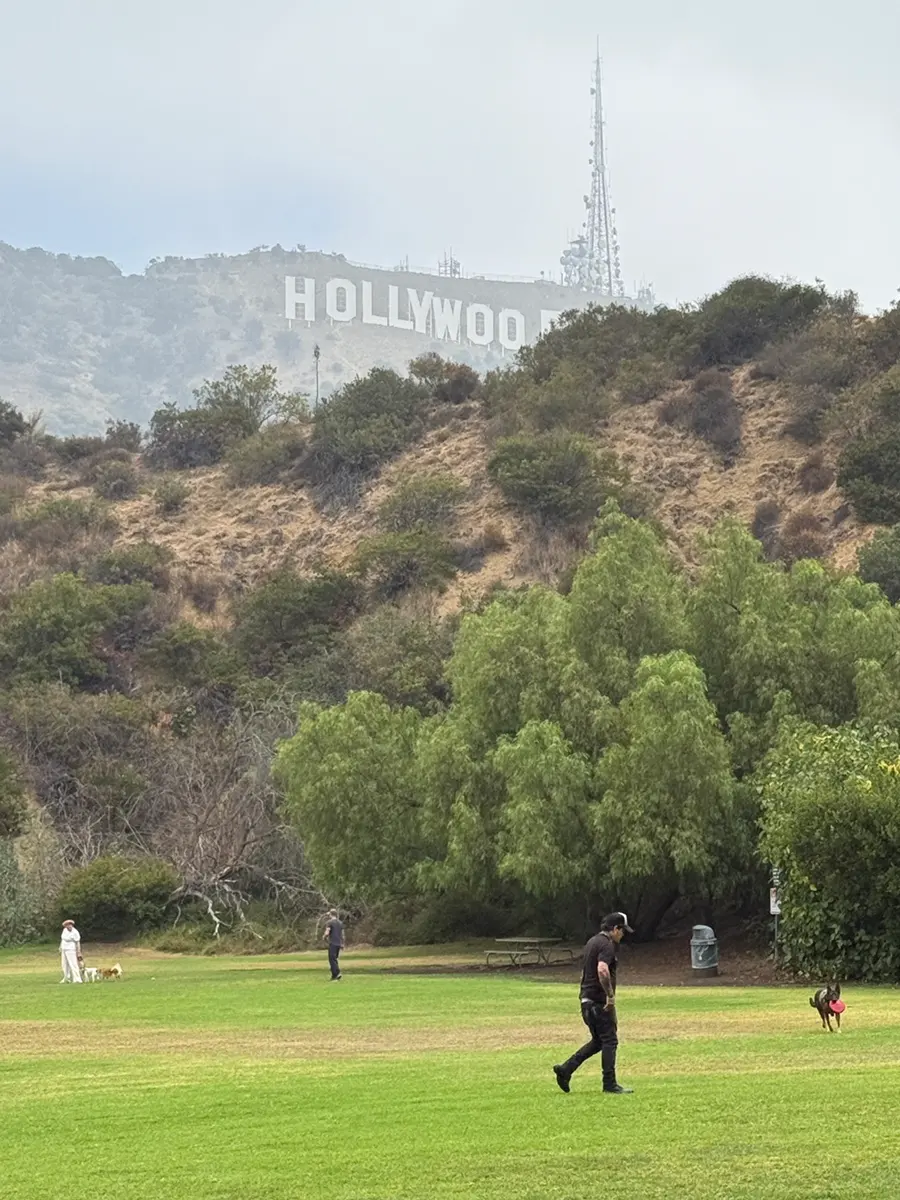 Grassy area at Lake Hollywood Park