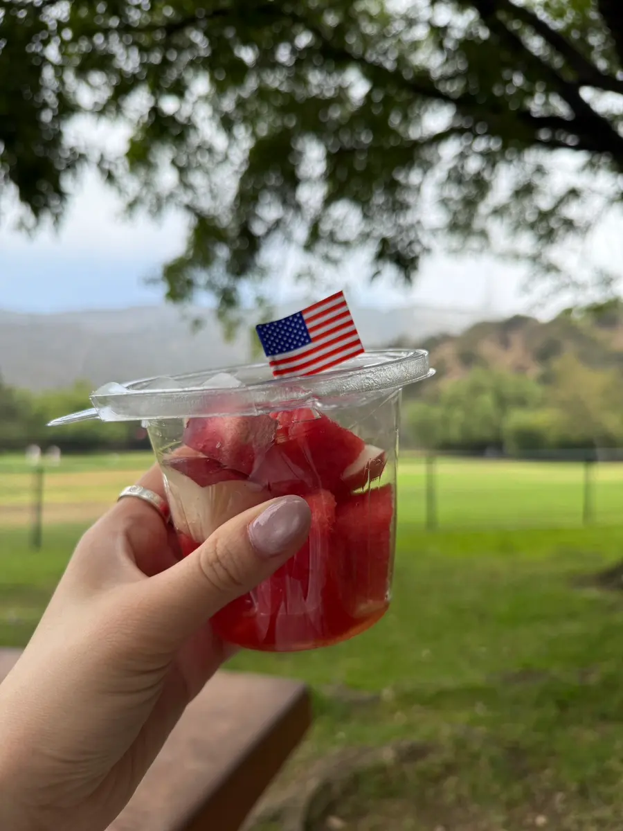 Picnic at Lake Hollywood Park