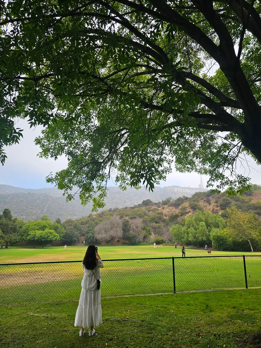 Hollywood Sign backdrop