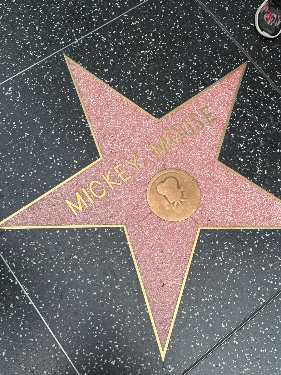 Hollywood Walk of Fame Stars
