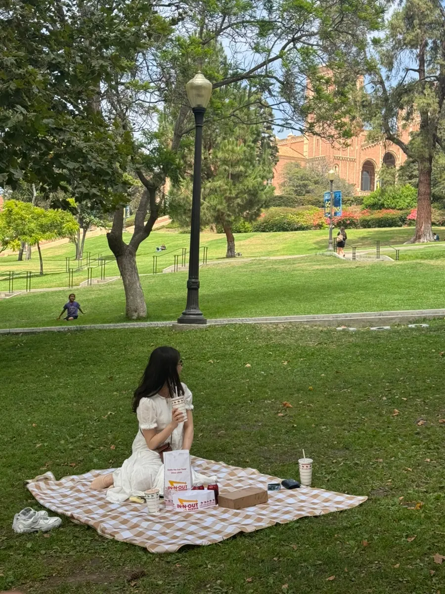 UCLA 피크닉