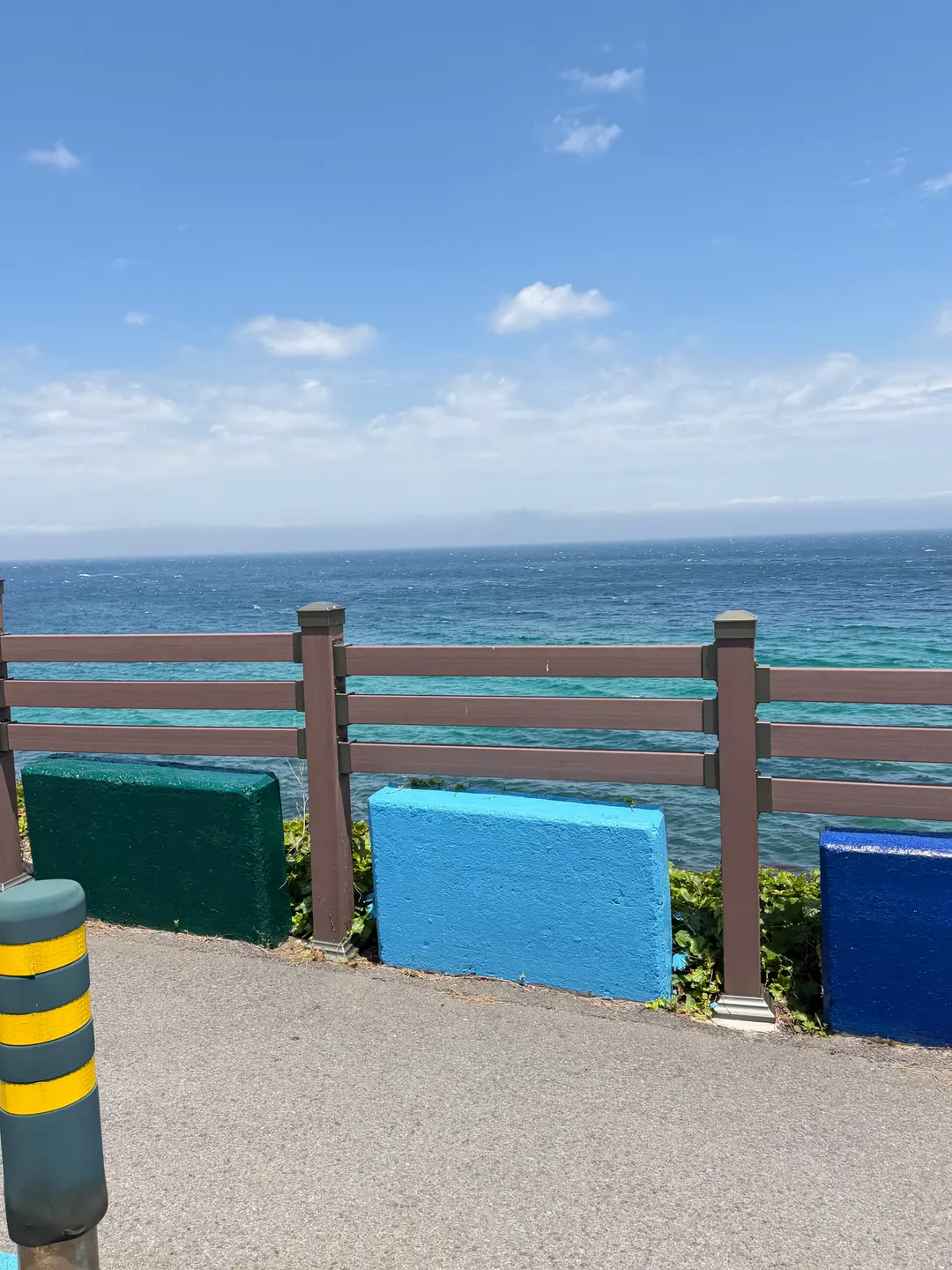 Jeju Go-Karting Experience