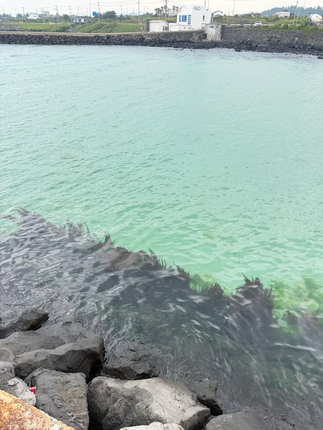 Drained port area