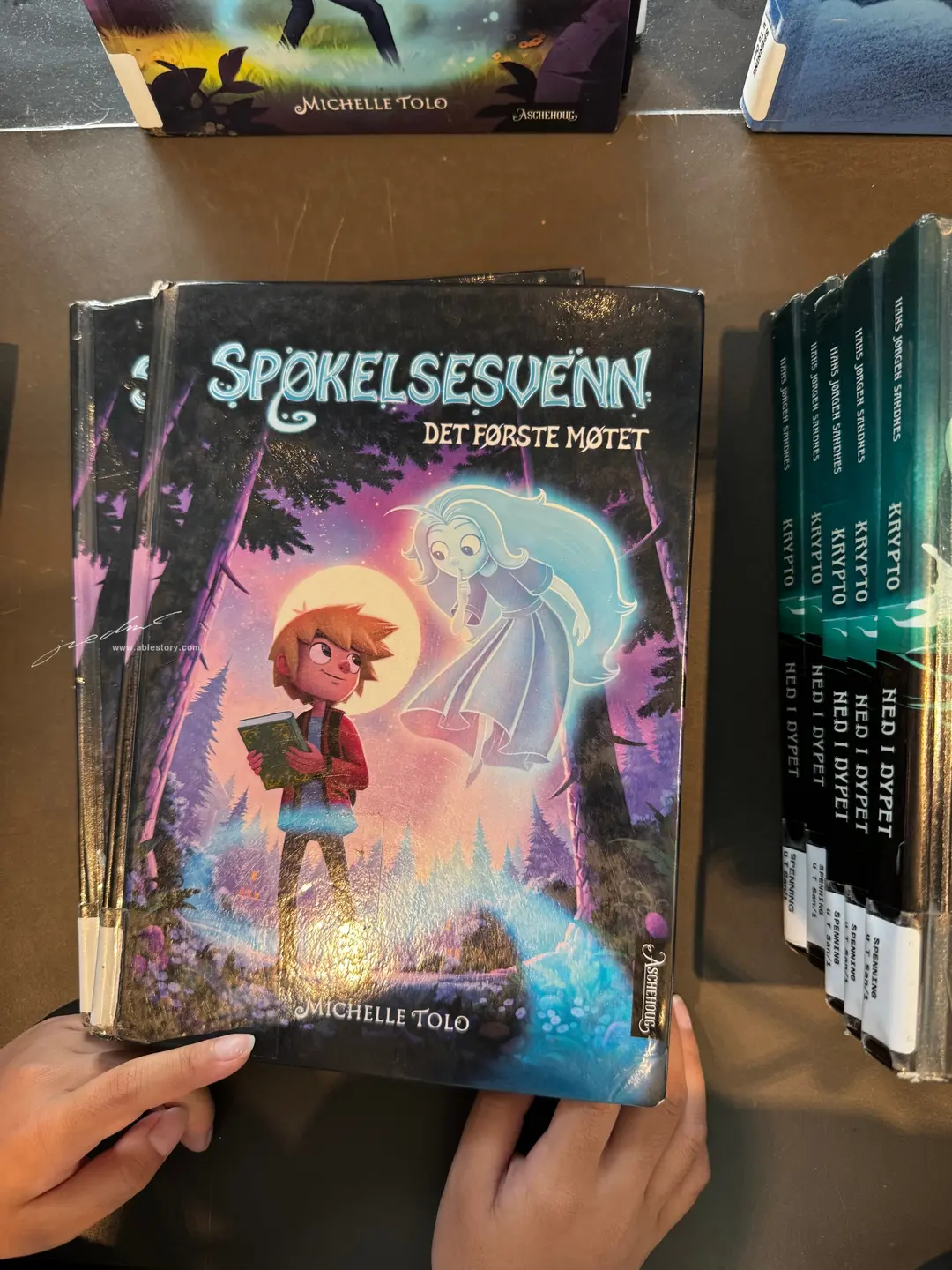 Browsing books at the library