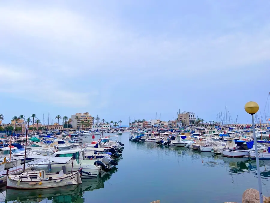 View of Palma Cathedral