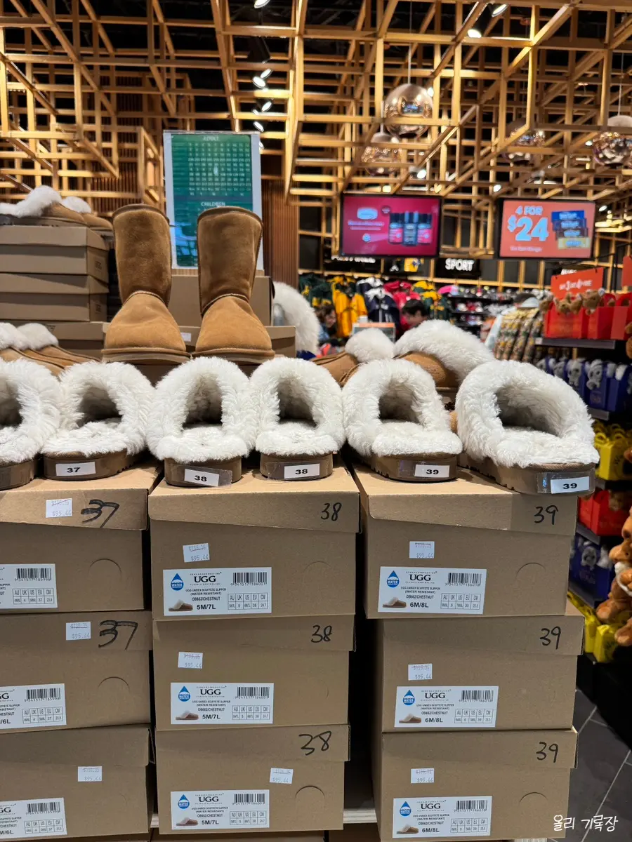 UGGのブーツディスプレイ