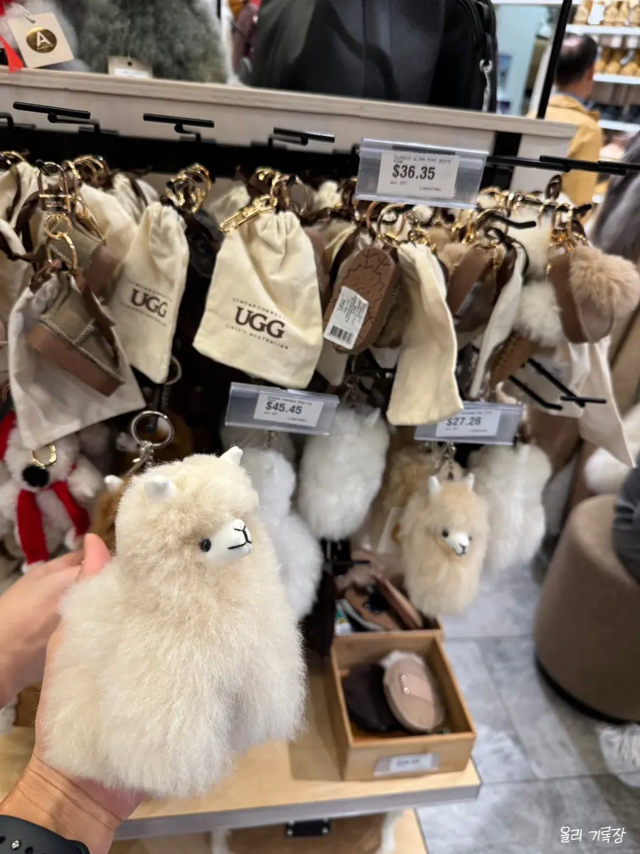 定番のUGGブーツ