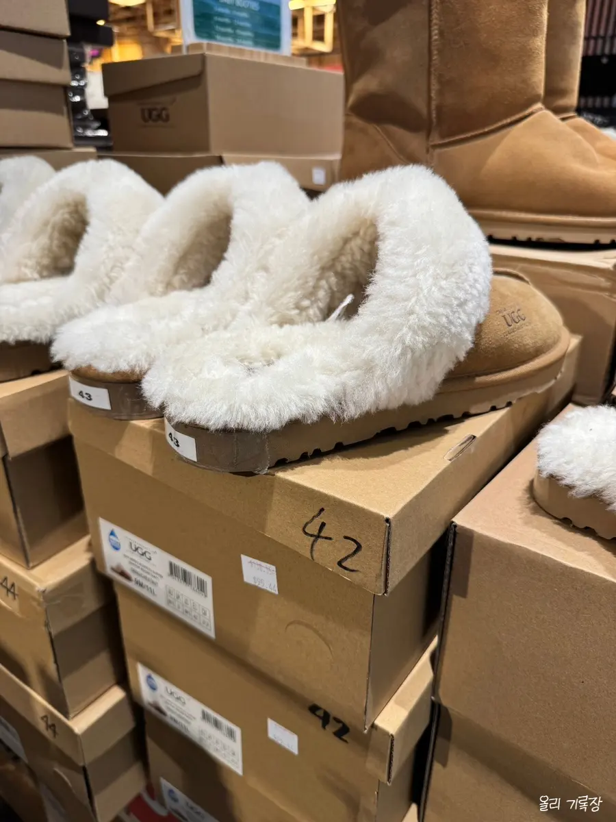 セール中のUGG商品