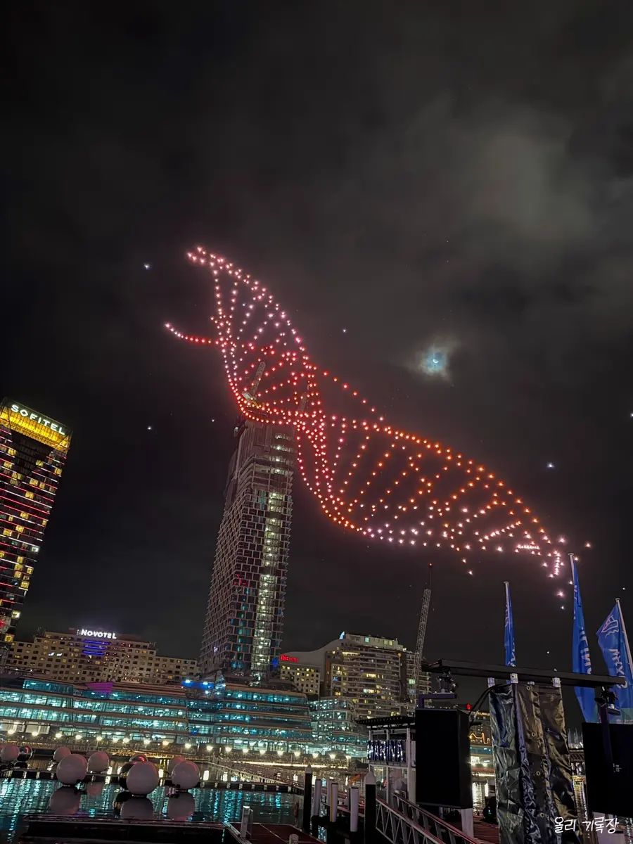 Darling Harbour crowd