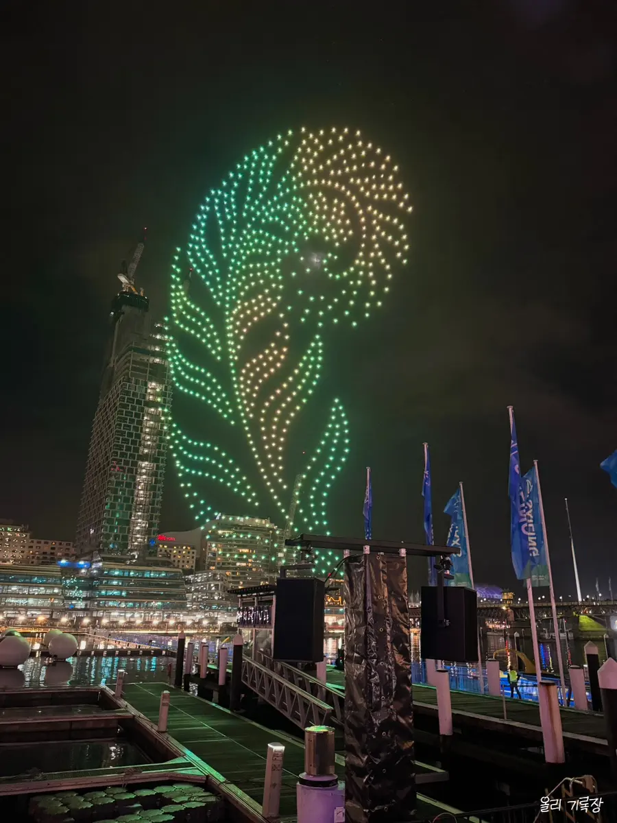Vivid Sydney crowd
