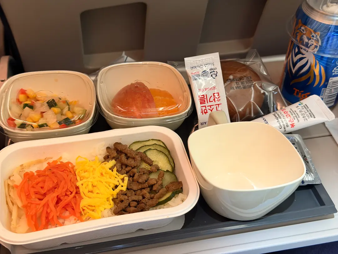 Airplane meal