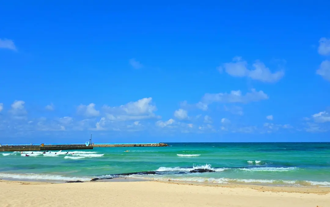 Surfing in Jeju