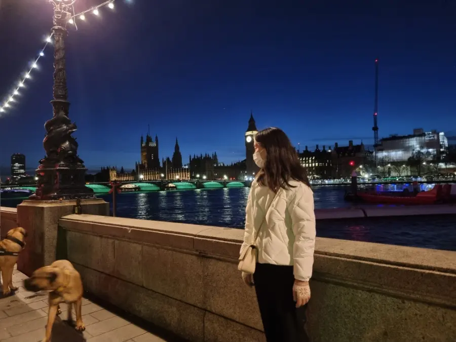 Dog in London
