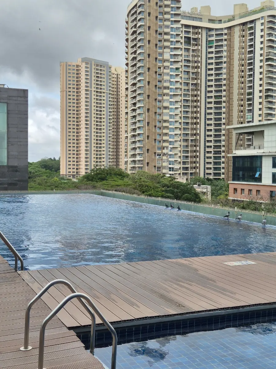 Infinity Pool