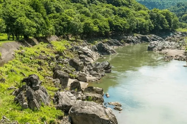 旭川の夏景色