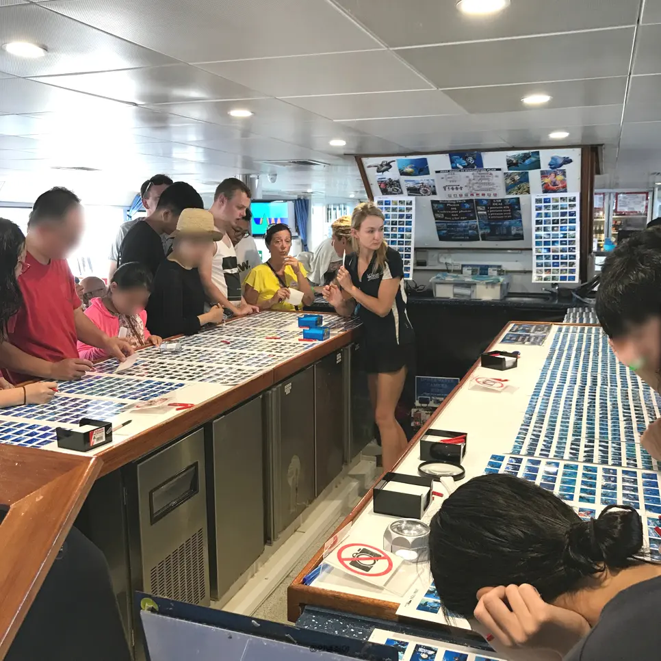 Spacious deck on Silverswift