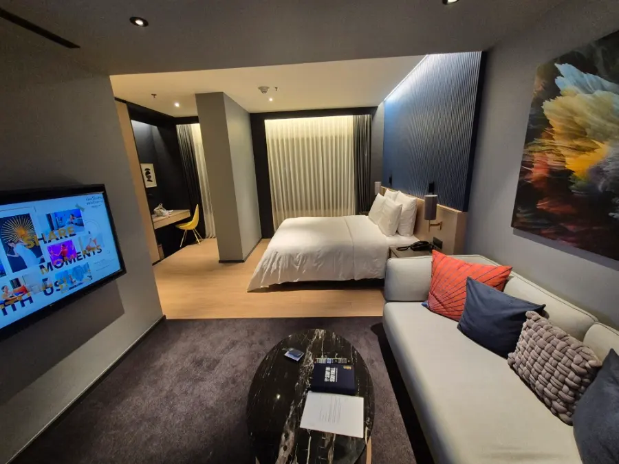 Standard King Room Overview