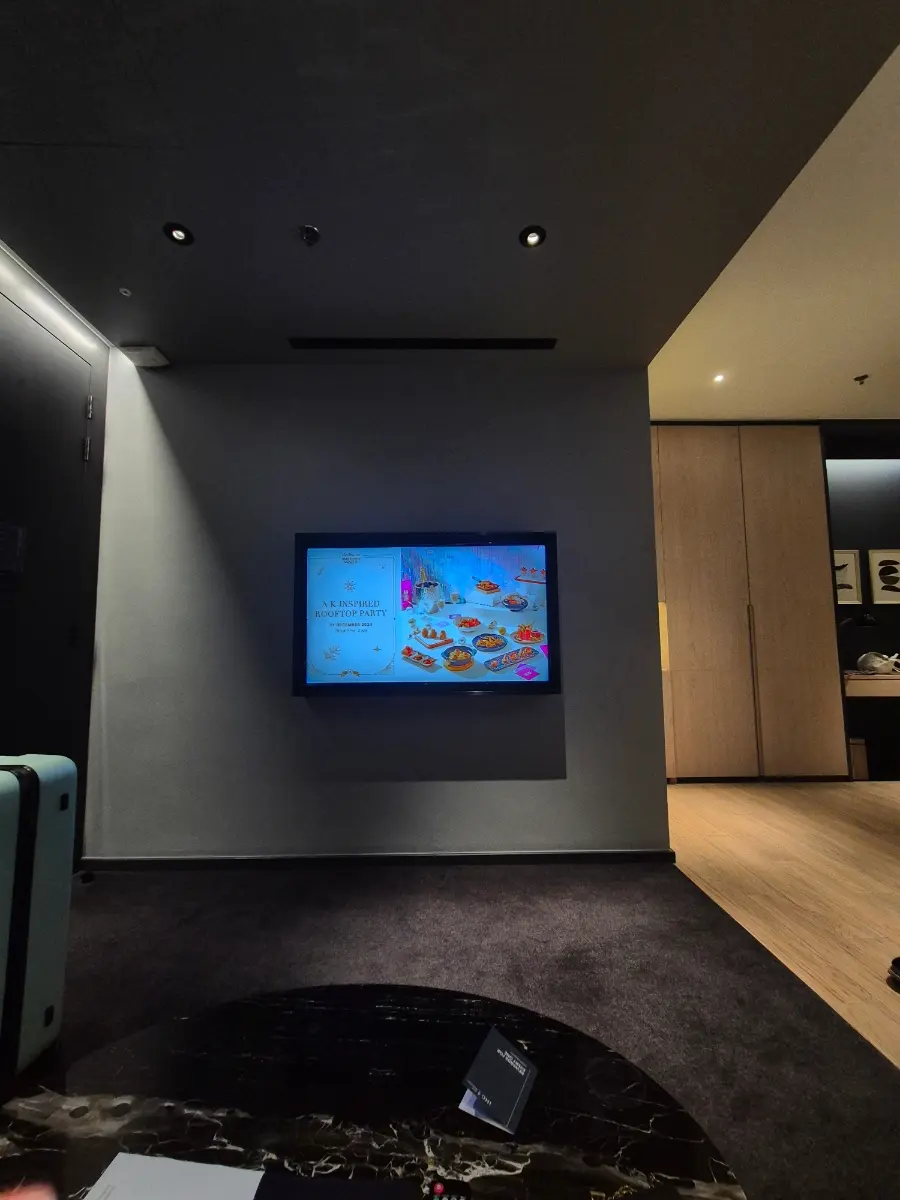 Sofa and TV Area