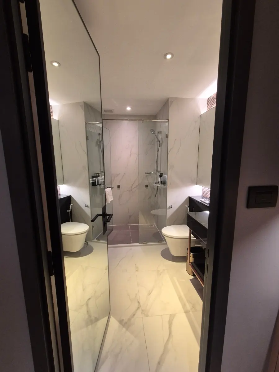 Bathroom Mirror Door