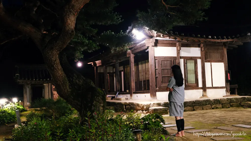 Hanok under the Night Sky